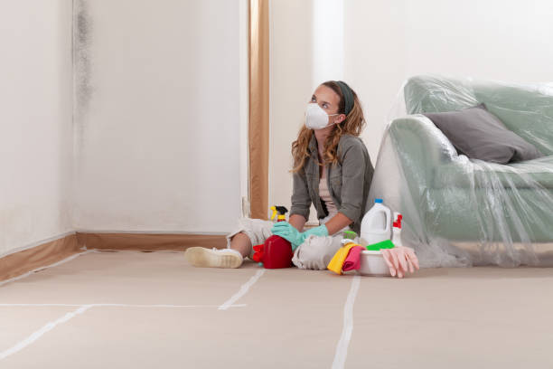Reliable Mold Cleanup contractor in Plant City, FL by WQB Mold Removal